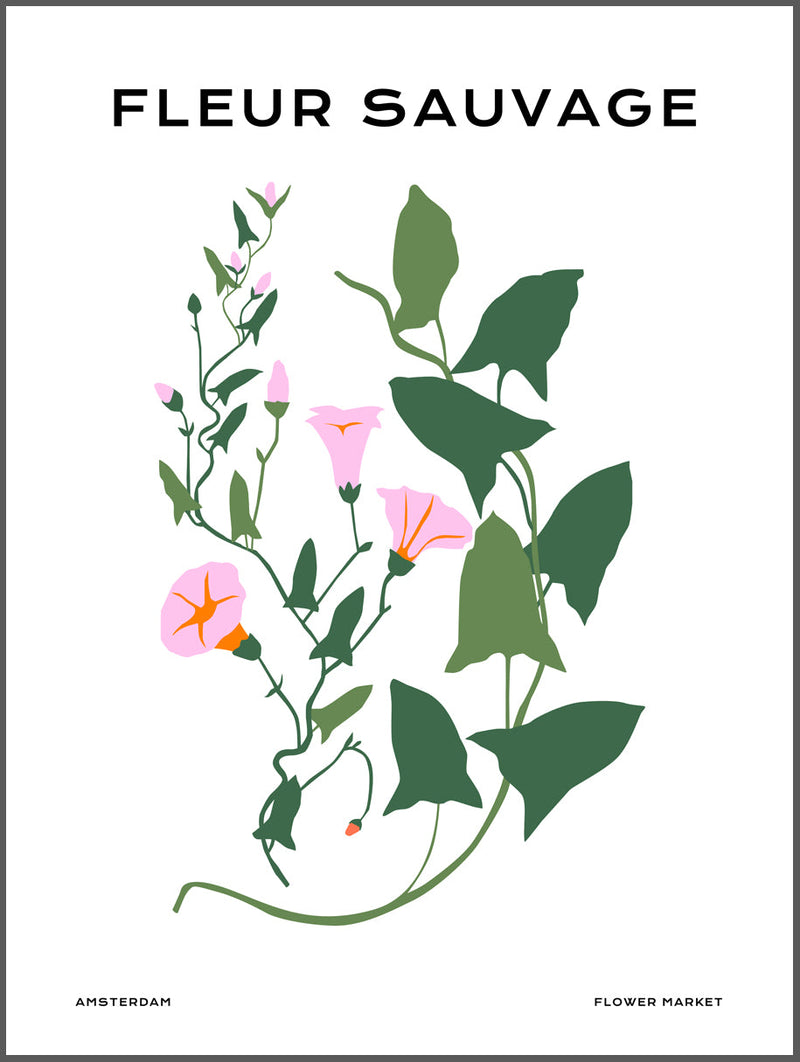 Pink Fleur Sauvage Poster